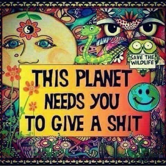 Meet your Posher, Heather 🧚‍♂️ - Picture 6 of 7